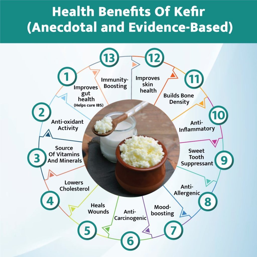 Kefir Grains - Living Probiotic Enriched