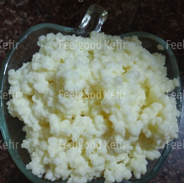 Milk kefir grains image