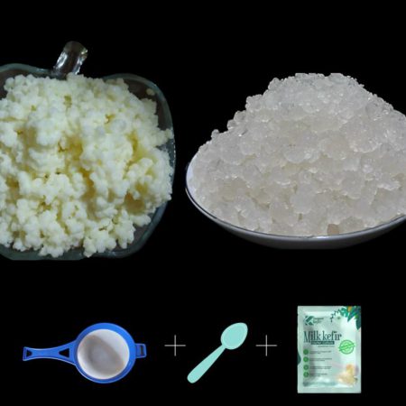  Kefir Grains - Living Probiotic Enriched : Powdered