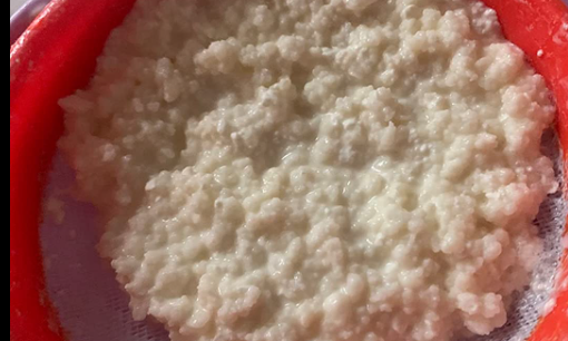 Kefir grains images from customers